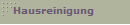 Hausreinigung